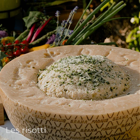 Live cooking - Animations salées : Les risotti