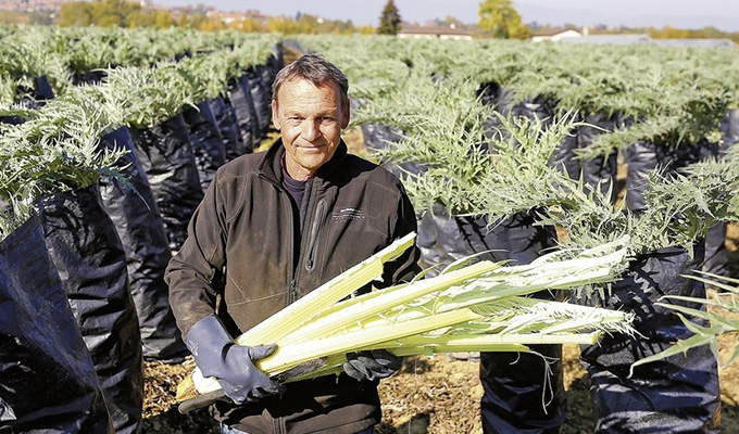 Pierre Boehm