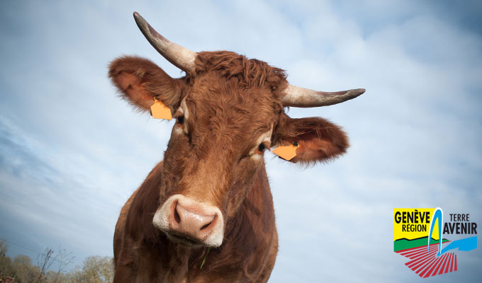 Ferme Desbiolles