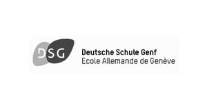 dsg