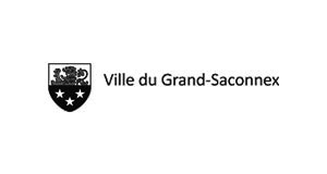 grand saconnex