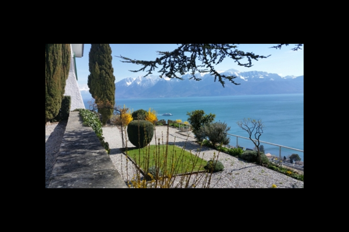 Slide background